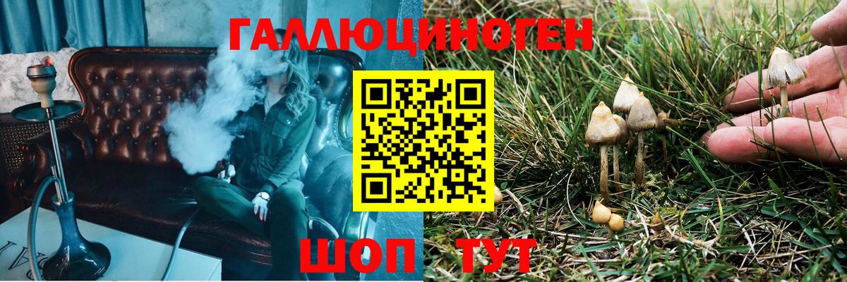 Кимовск  Псилоцибиновые грибы Psilocybe  Псилоцибиновые грибы GOLDEN TEACHER  Вход с VPN 